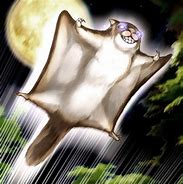 Image result for Giant Bat Yokai