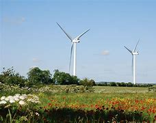 Image result for Wind Power Pros and Cons