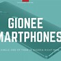 Image result for Gionee Smartphones