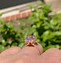 Image result for Single Diamond Ring Rose Gold