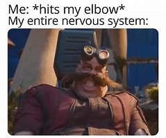 Image result for Entire Nervous System Meme