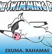 Image result for Swimming Pig Cartoon