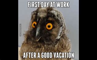 Image result for Back at Work After Vacation Meme