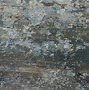 Image result for Rock Texture Background