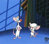 Image result for Following Pinky and the Brain