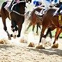 Image result for London Ascot Racing