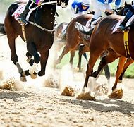 Image result for Race Horse Images