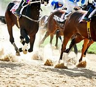 Image result for World Horse Racing