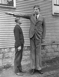 Image result for Tallest Man in History