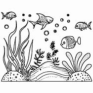 Image result for Underwater Sea Images 1920X1080