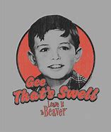 Image result for Leave It to Beaver Gee That's Swell