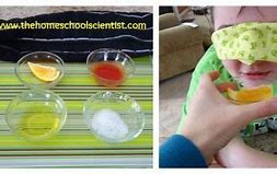 Image result for 5 Senses Science Experiments