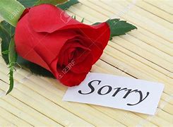 Image result for Sorry Dawg Meme