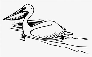 Image result for Pelicans Snow Cones Logo