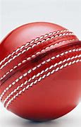 Image result for Cricket Background HD