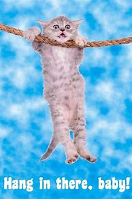 Image result for Hang in There Baby