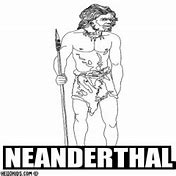 Image result for Neanderthal Skull Meme