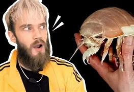 Image result for isopods faces memes