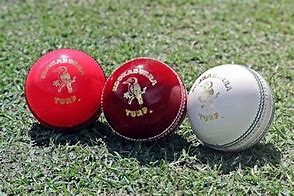 Image result for Ball Used in Circket