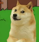 Image result for Amazed Brown Dog Meme