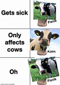 Image result for Mad Cow Disease Meme