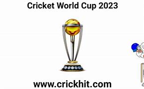 Image result for Cricket World Cup 2023 Poster