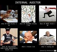 Image result for Internal Audit Funny Memes