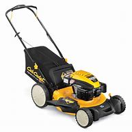 Image result for Cub Cadet Lawn Mower Engines