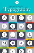 Image result for Typography Letter Anatomy