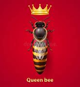 Image result for Baby Queen Bee