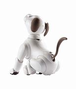 Image result for Aibo Pokemon