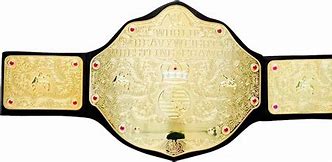 Image result for WWE World Heavyweight Championship Toy