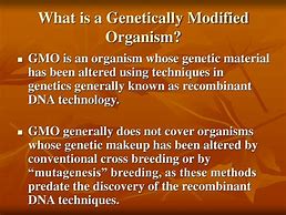 Image result for Genetically Modified Organism