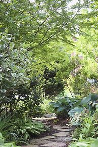 Image result for Garden Path Stepping Stone Walkways Ideas