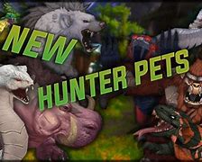 Image result for Cool Pets WoW