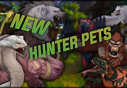 Image result for WoW Awesome Hunter Pets