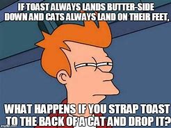 Image result for Butter Cat Meme