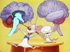 Image result for Stinky and the Brain