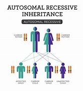 Image result for Recessive