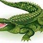 Image result for Crocodile Teeth Clip Art