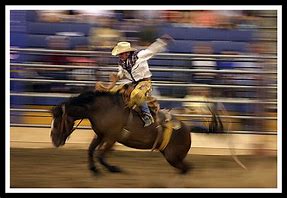 Image result for Rodeo Art