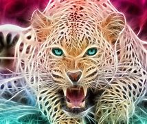 Image result for Cheetah Cool Laptop Desktop