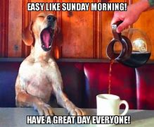 Image result for Funny Sunday Pics