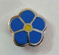 Image result for Which Lapel Do You Use for a Masonic Forget Me Not Pin Badge