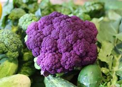 Image result for Images of Farmers Market