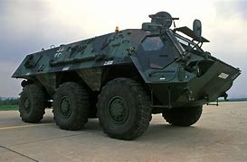 Image result for Tpz 1 Fuchs