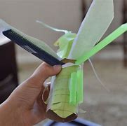 Image result for Chirping Cricket Craft