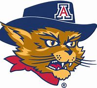 Image result for Uofa Mascot