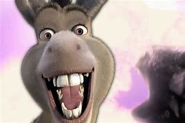 Image result for Donkey From Shrek Meme Stare