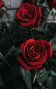 Image result for Red Wallpaper Background Iphonw